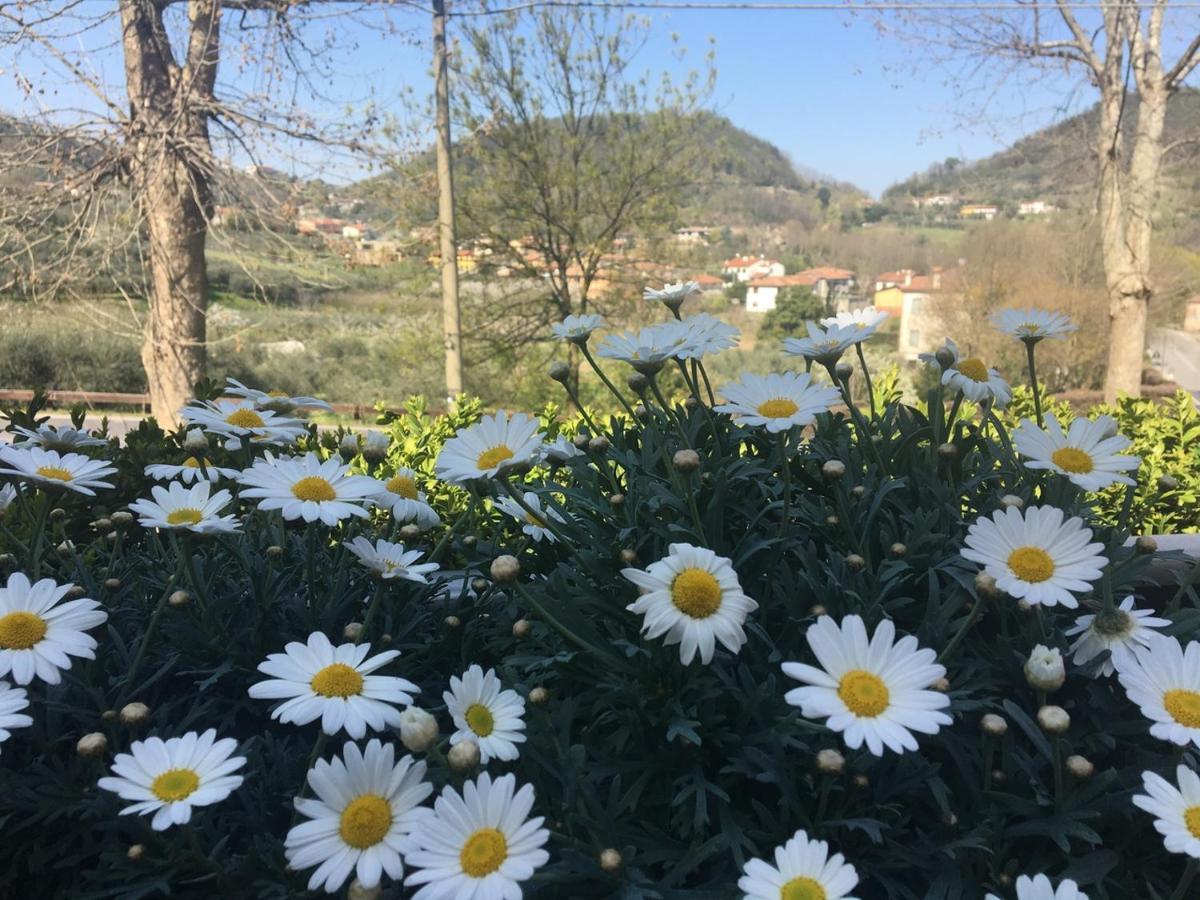 Belvedere Resort Ai Colli Galzignano Terme Exterior foto